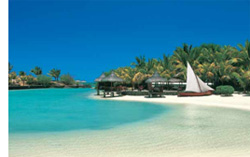 summer_IBM