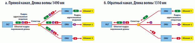 ZyXEL начинает поставки оборудования для пассивных оптических сетей доступа