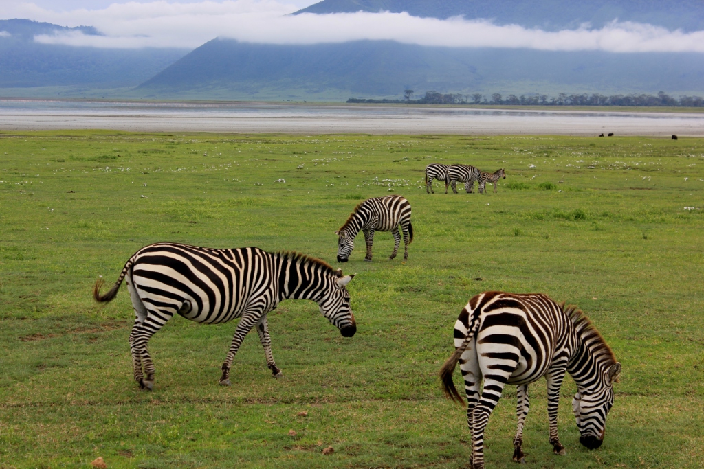 Компания Landata покорила высочайшую точку Африки - Килиманджаро!
