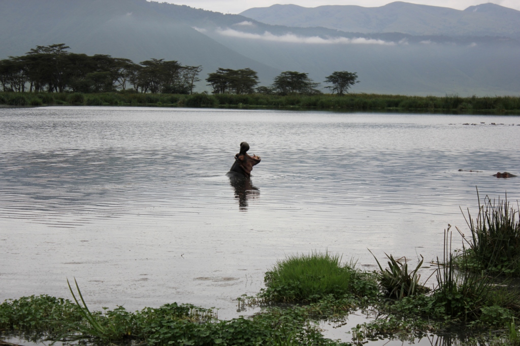 Компания Landata покорила высочайшую точку Африки - Килиманджаро!