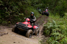 Компания Landata провела Академию IBM