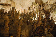 Победители промо-программы &laquo;Покоряй вершины с Allied Telesis и Landata&raquo; отправились на горнолыжный курорт в Словению!