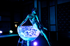 Компания Landata провела Академию Avaya