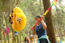 Компания Landata провела Академию IBM