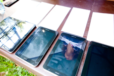 Компания Landata провела Академию IBM