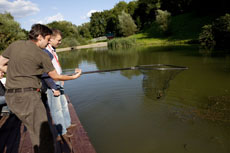 Компания Landata провела Академию IBM