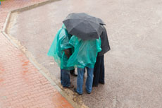 Компания Landata провела Академию Avaya