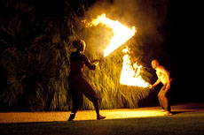 Компания Landata провела Дилерский Форум