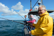 Партнеры Landata в стране святого Патрика