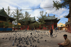 Компания Landata провела ВИП-тур в Монголию