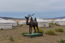 Компания Landata провела ВИП-тур в Монголию