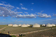 Компания Landata провела ВИП-тур в Монголию