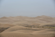 Компания Landata провела ВИП-тур в Монголию