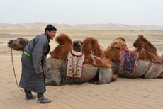 Компания Landata провела ВИП-тур в Монголию
