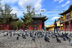 Компания Landata провела ВИП-тур в Монголию