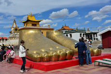 Компания Landata провела ВИП-тур в Монголию