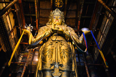 Компания Landata провела ВИП-тур в Монголию