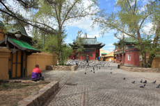 Компания Landata провела ВИП-тур в Монголию