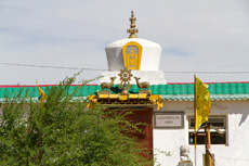 Компания Landata провела ВИП-тур в Монголию