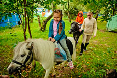 Landata провела пикник для сотрудников компании