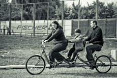 Landata провела пикник для сотрудников компании