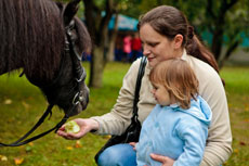 Landata провела пикник для сотрудников компании
