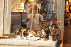 Landata и партнеры совершили автопробег по Провансу