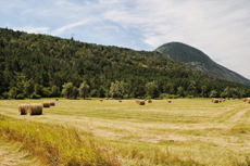 Landata и партнеры совершили автопробег по Провансу