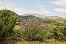 Landata и партнеры совершили автопробег по Провансу