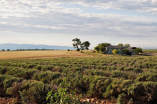 Landata и партнеры совершили автопробег по Провансу