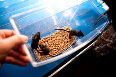 Компания Landata провела Академию Бездорожья