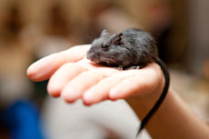 Компания Landata провела Академию Бездорожья