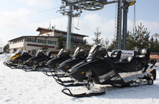 Гонки на снегоходах с компаниями Allied Telesis и Landata