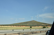 Компания Landata провела ВИП-тур по Испании